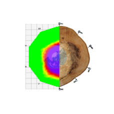 Fakopp - ArborSonic 3D Accoustic Tomograph